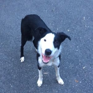 Meet your Posher, Roxanna